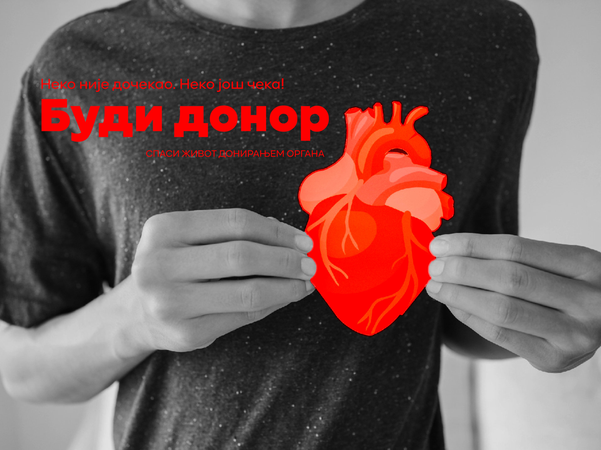 буди донор 7