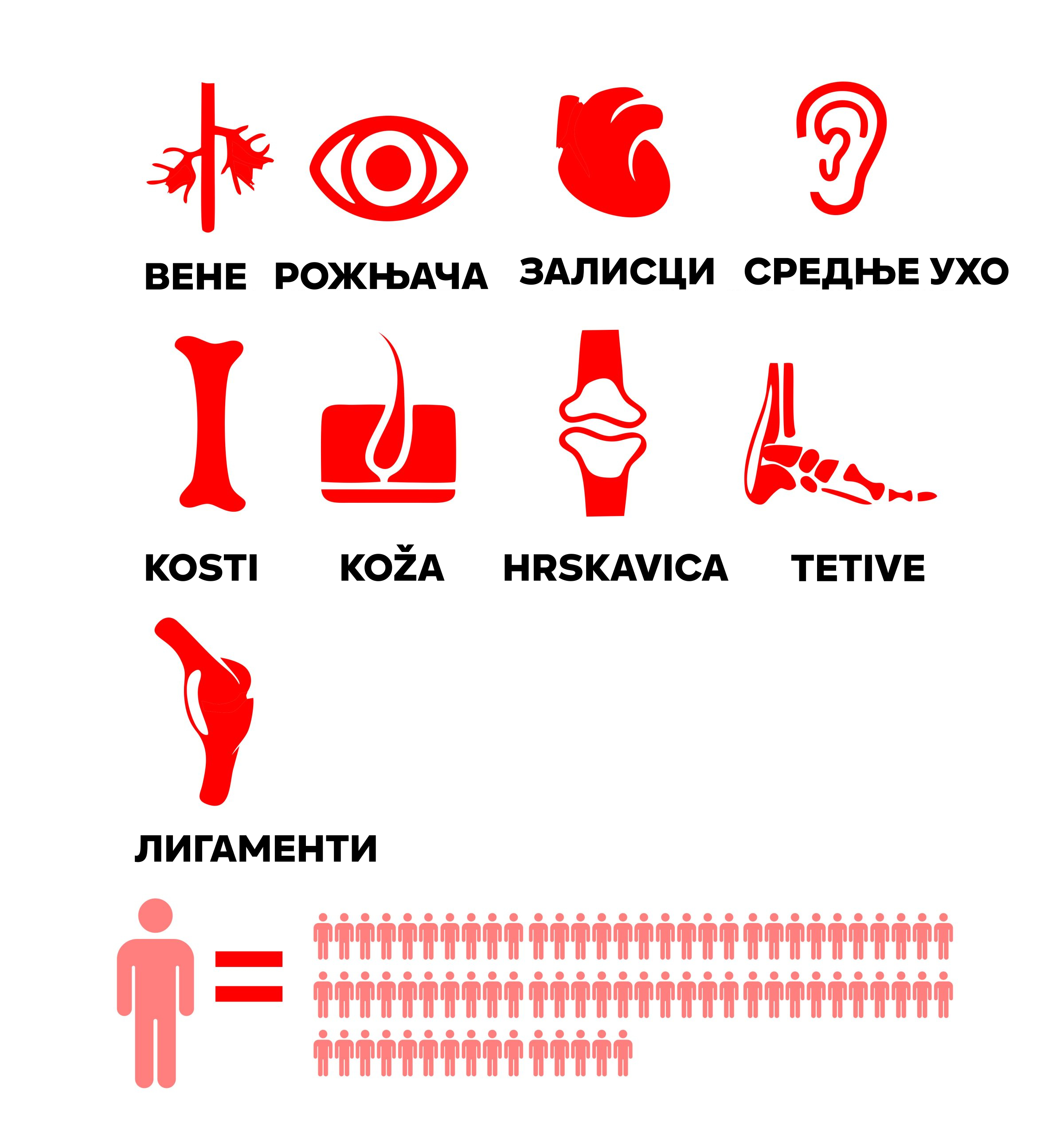 činjenica1